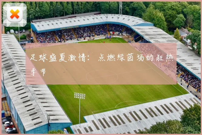 足球盛夏激情：点燃绿茵场的狂热季节