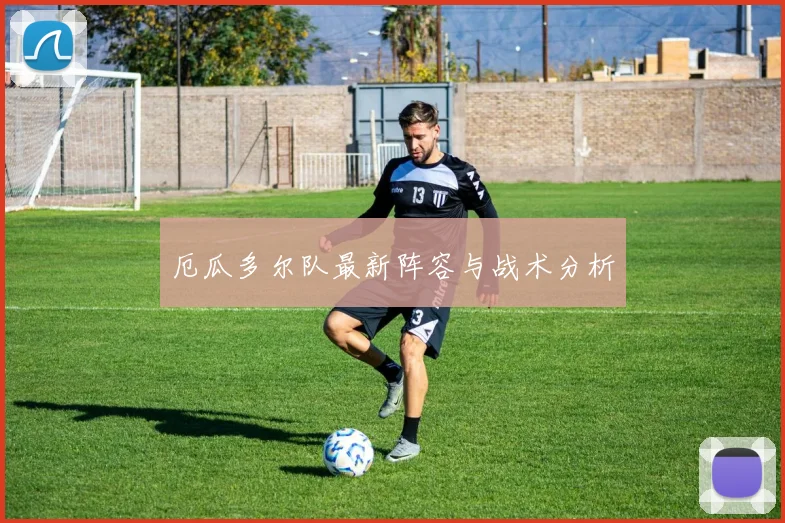厄瓜多尔队最新阵容与战术分析