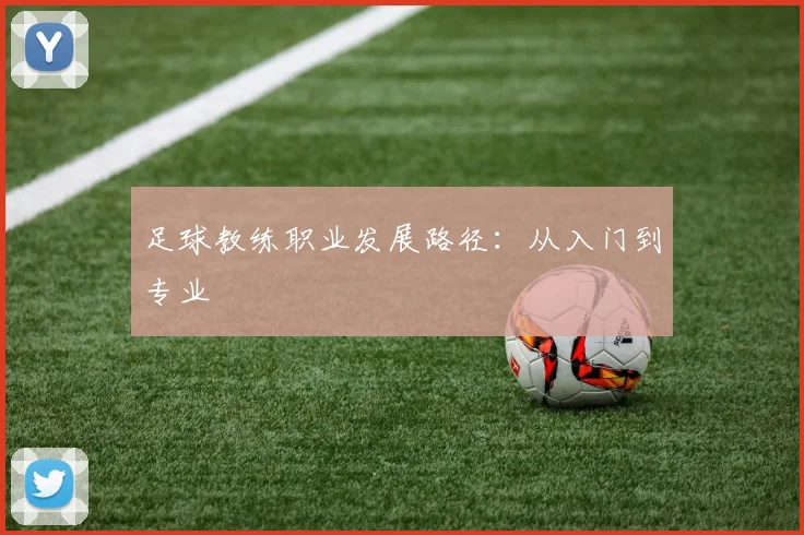 足球教练职业发展路径:从入门到专业